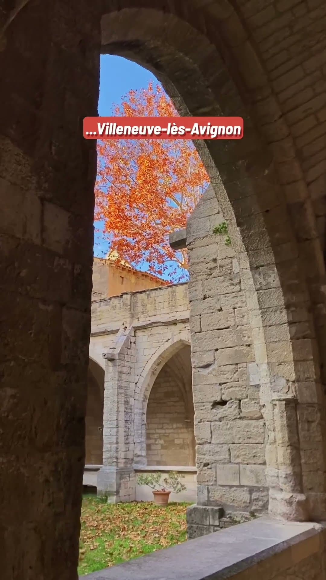 Tout le monde va à Avignon alors que...